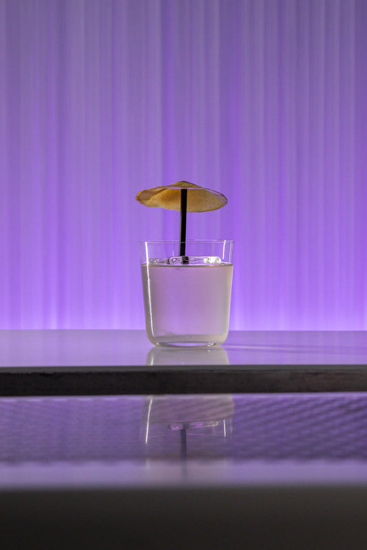 From Home Enthusiast to Professional Bartender: A TAOS Success Story